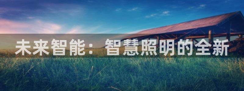 未来智能：智慧照明的全新