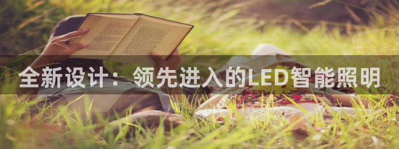 全新设计：领先进入的LED智能照明