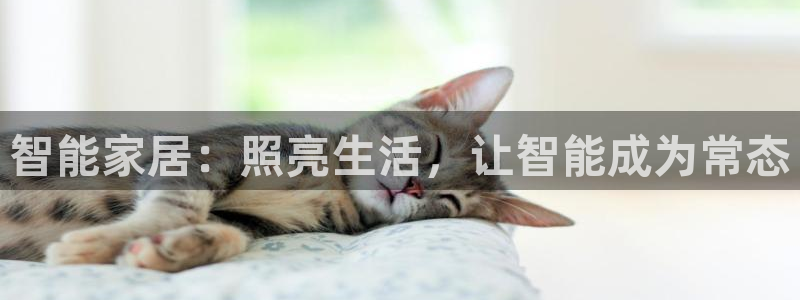 智能家居：照亮生活，让智能成为常态