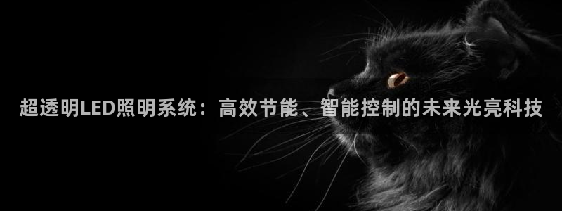 超透明LED照明系统：高效节能、智能控制的未来光亮科技