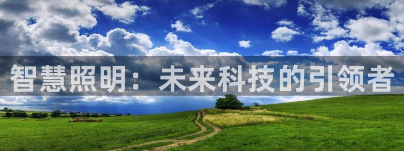 智慧照明：未来科技的引领者