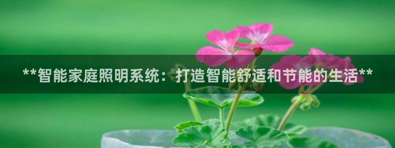 **智能家庭照明系统：打造智能舒适和节能的生活**