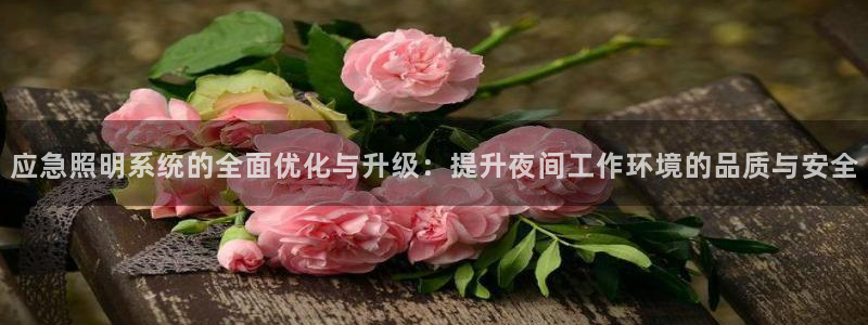 应急照明系统的全面优化与升级：提升夜间工作环境的品质与安全