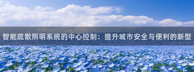 智能疏散照明系统的中心控制：提升城市安全与便利的新型