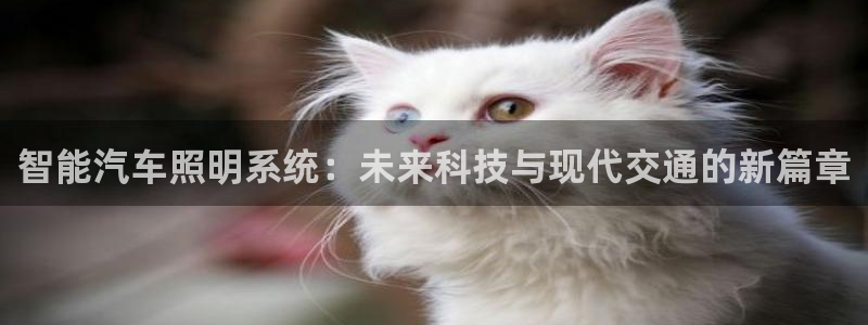 智能汽车照明系统：未来科技与现代交通的新篇章