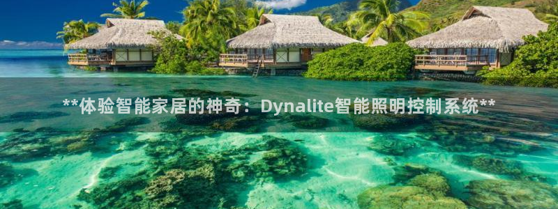 **体验智能家居的神奇：Dynalite智能照明控制系统**