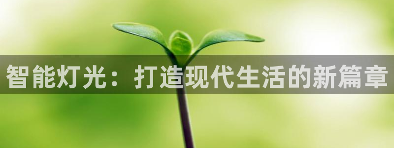智能灯光：打造现代生活的新篇章