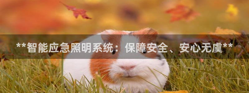 **智能应急照明系统：保障安全、安心无虞**