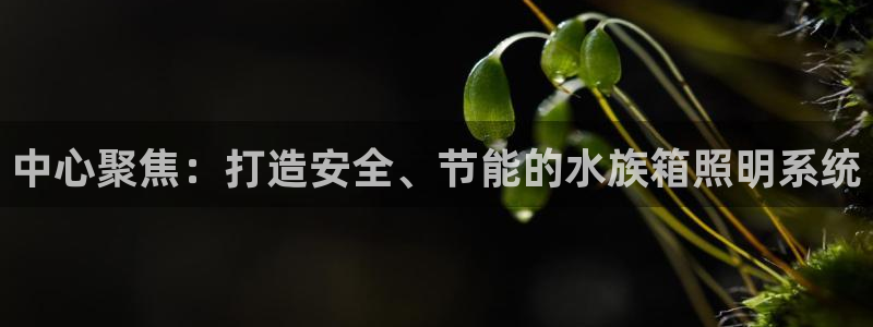 中心聚焦：打造安全、节能的水族箱照明系统