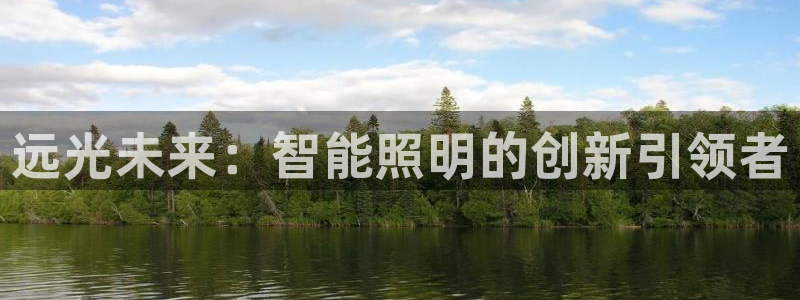 远光未来：智能照明的创新引领者