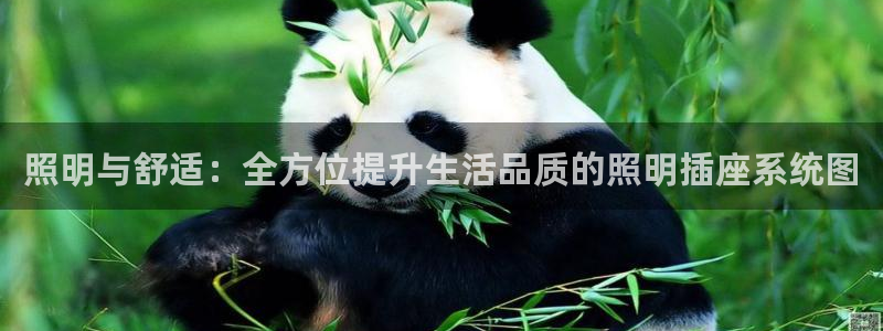 照明与舒适：全方位提升生活品质的照明插座系统图