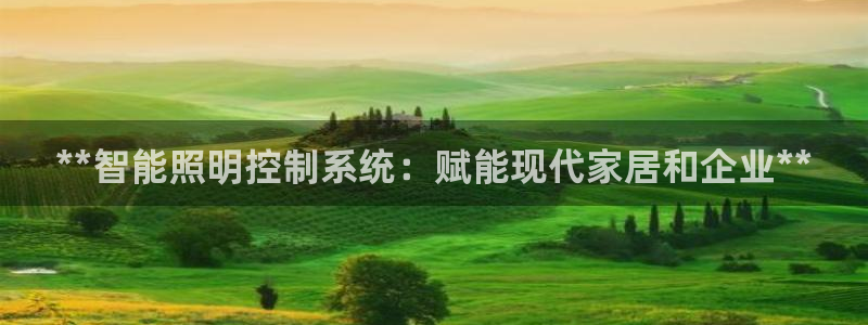 **智能照明控制系统：赋能现代家居和企业**