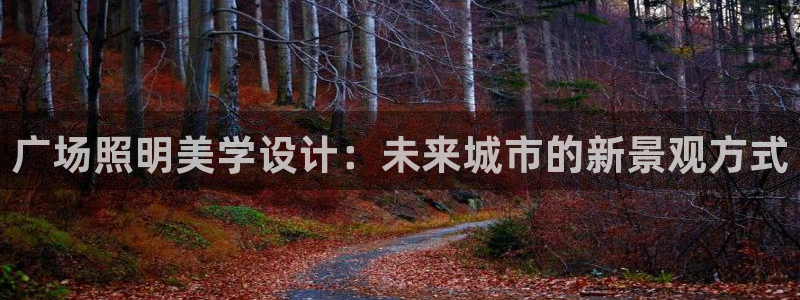 广场照明美学设计：未来城市的新景观方式