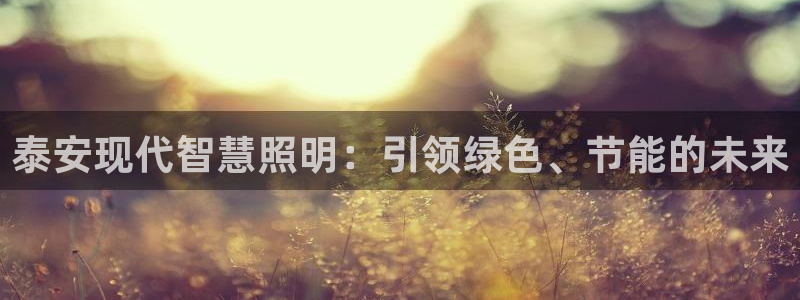 泰安现代智慧照明：引领绿色、节能的未来