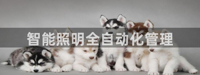 智能照明全自动化管理