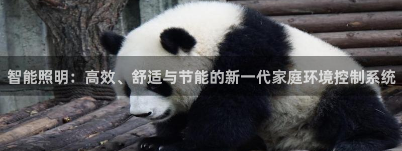 智能照明：高效、舒适与节能的新一代家庭环境控制系统