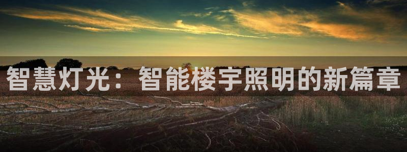 智慧灯光：智能楼宇照明的新篇章