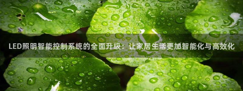 LED照明智能控制系统的全面升级：让家居生活更加智能化与高效化