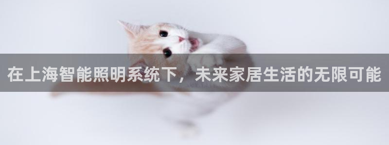 在上海智能照明系统下，未来家居生活的无限可能