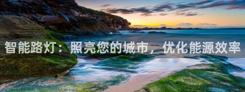 智能路灯：照亮您的城市，优化能源效率