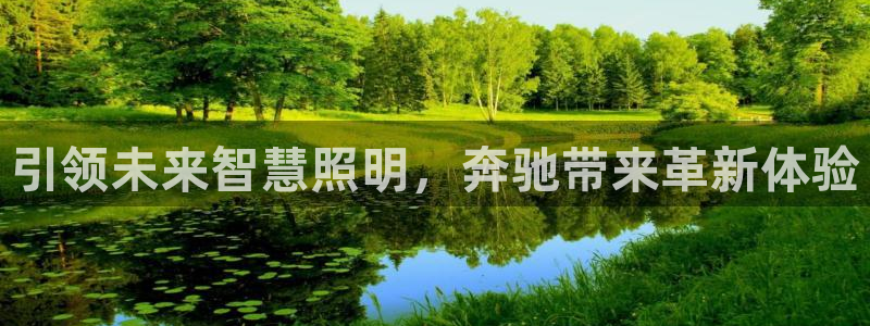 引领未来智慧照明，奔驰带来革新体验