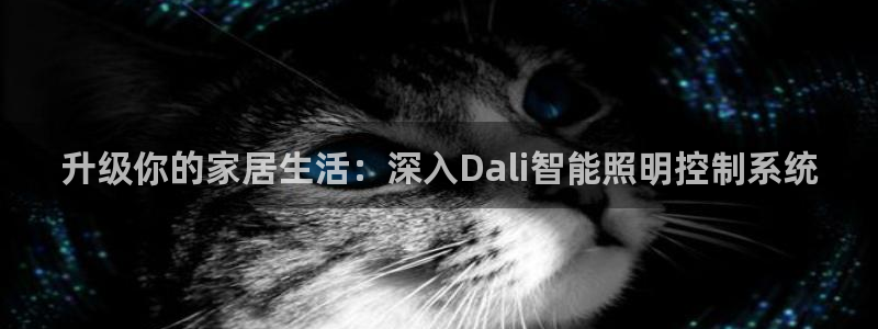 升级你的家居生活：深入Dali智能照明控制系统