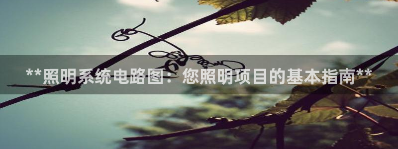 **照明系统电路图:您照明项目的基本指南