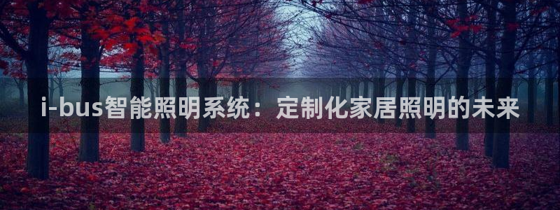 i-bus智能照明系统:定制化家居照明的