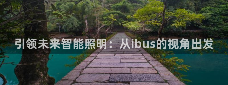 引领未来智能照明：从ibus的视角出发