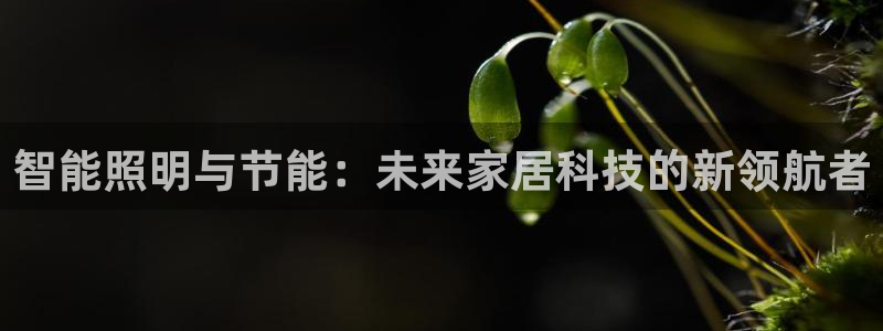智能照明与节能：未来家居科技的新领航者